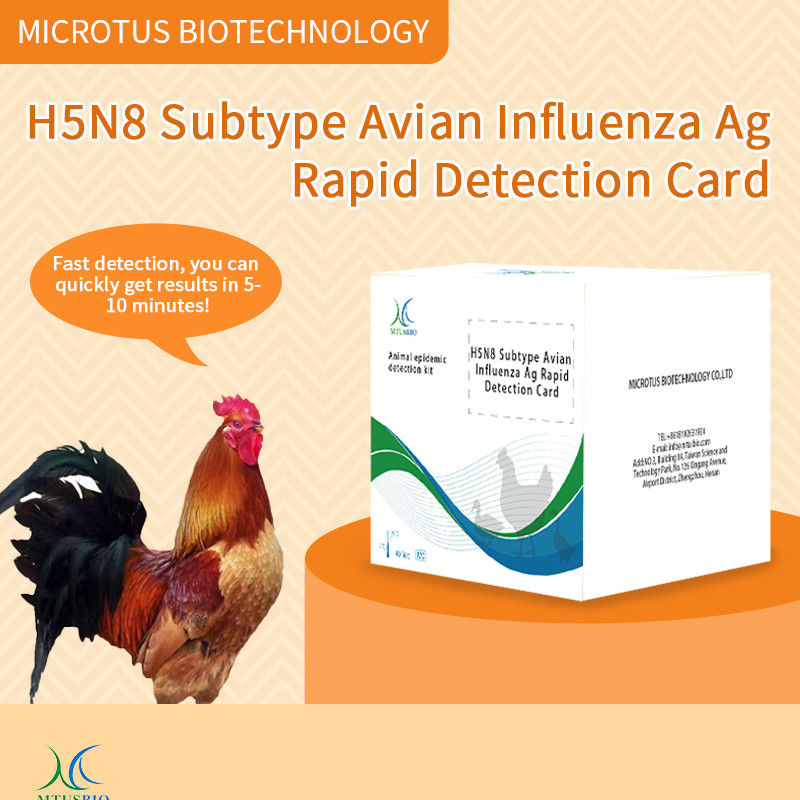 조류 인플루엔자 (H5N8) 항원 신속 검출 카드 지침 협력 업체