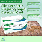 Sika Deer 초기 임신 신속 검출 카드 지침 협력 업체