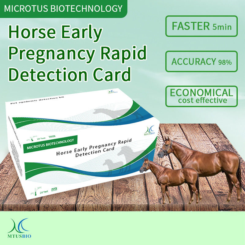 말 초기 임신 신속 검증 카드 협력 업체