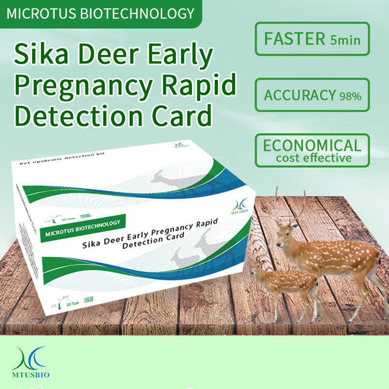 Sika Deer 초기 임신 신속 검출 카드 지침 협력 업체